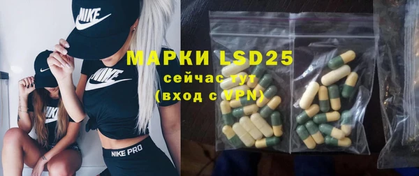 ПСИЛОЦИБИНОВЫЕ ГРИБЫ Баксан