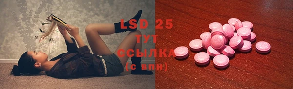 ПСИЛОЦИБИНОВЫЕ ГРИБЫ Баксан