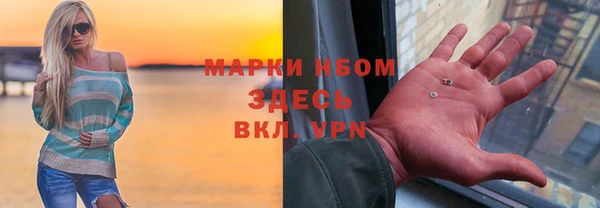 ПСИЛОЦИБИНОВЫЕ ГРИБЫ Баксан