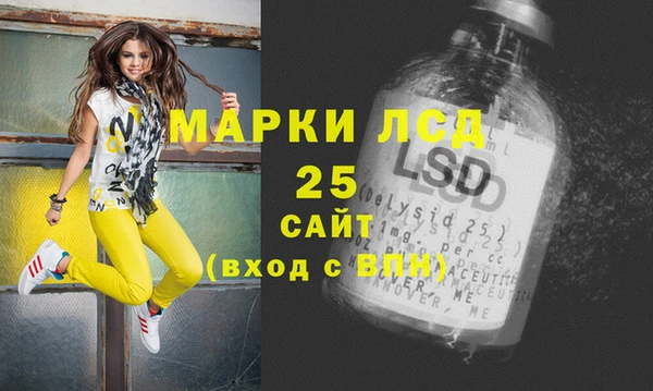 ПСИЛОЦИБИНОВЫЕ ГРИБЫ Баксан