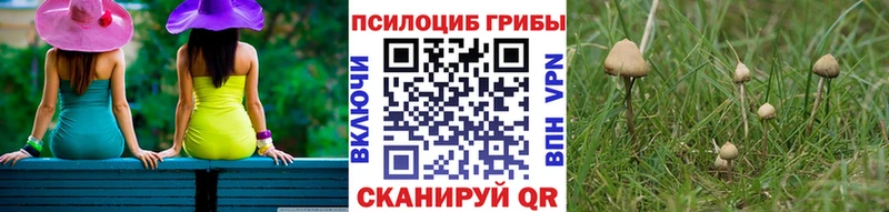Галлюциногенные грибы мицелий blacksprut маркетплейс Унеча сколько стоит